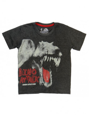 Camiseta Infantil Dino...